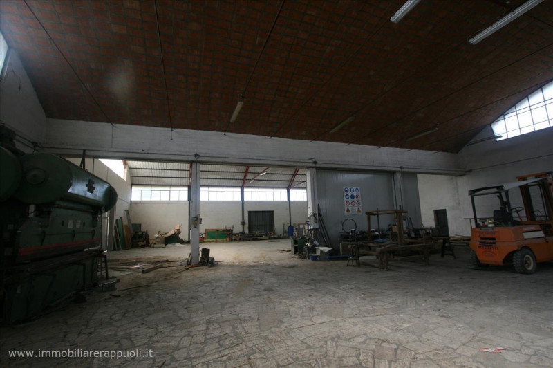 Immagine 3 di Capannone industriale in vendita  a Sinalunga