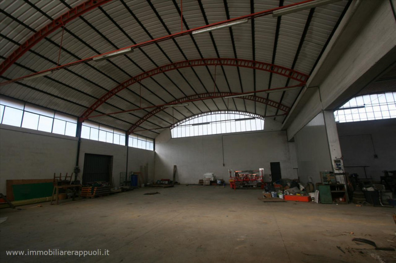 Immagine 5 di Capannone industriale in vendita  a Sinalunga