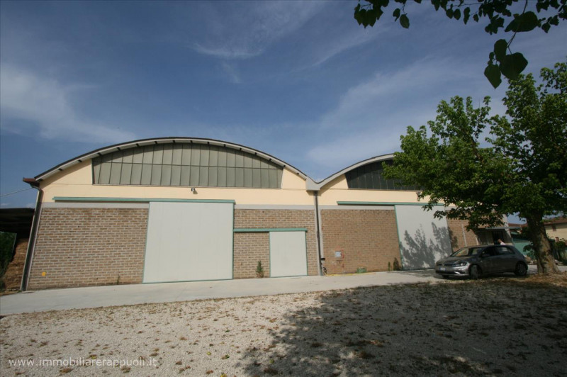 Immagine 7 di Capannone industriale in vendita  a Sinalunga