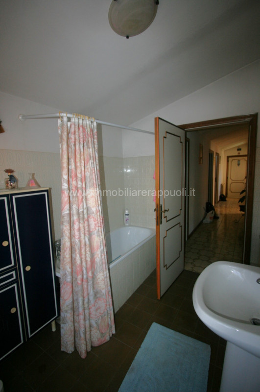 Immagine 6 di Appartamento in vendita  a Sinalunga