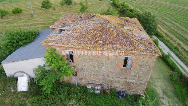 Immagine 2 di Rustico / casale in vendita  a Sinalunga