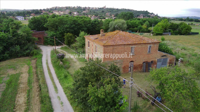 Immagine 5 di Rustico / casale in vendita  a Sinalunga