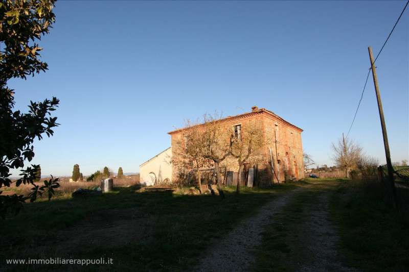 Immagine 9 di Rustico / casale in vendita  a Sinalunga