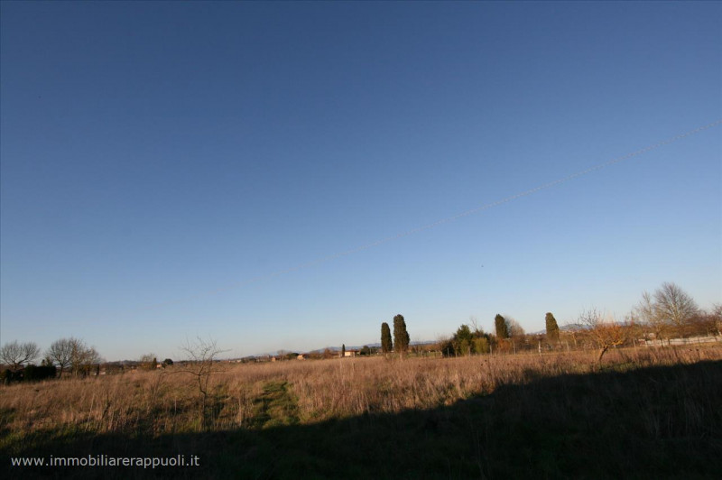 Immagine 12 di Rustico / casale in vendita  a Sinalunga