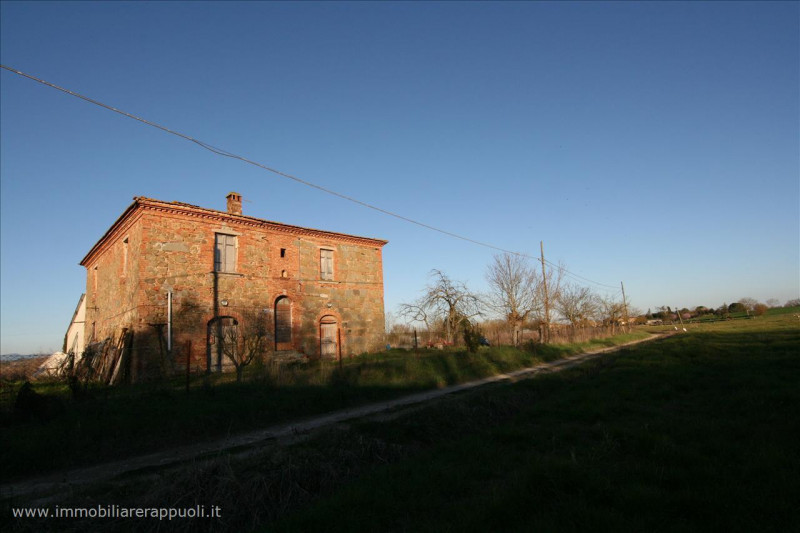 Immagine 15 di Rustico / casale in vendita  a Sinalunga