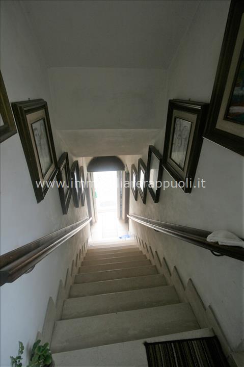 Immagine 12 di Casa indipendente in vendita  a Sinalunga