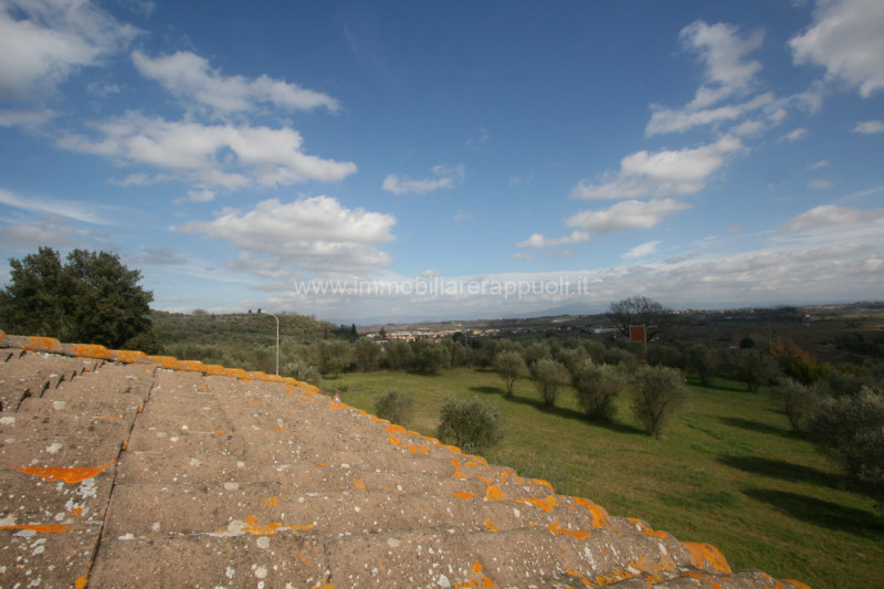 Immagine 7 di Villa in vendita  a Sinalunga