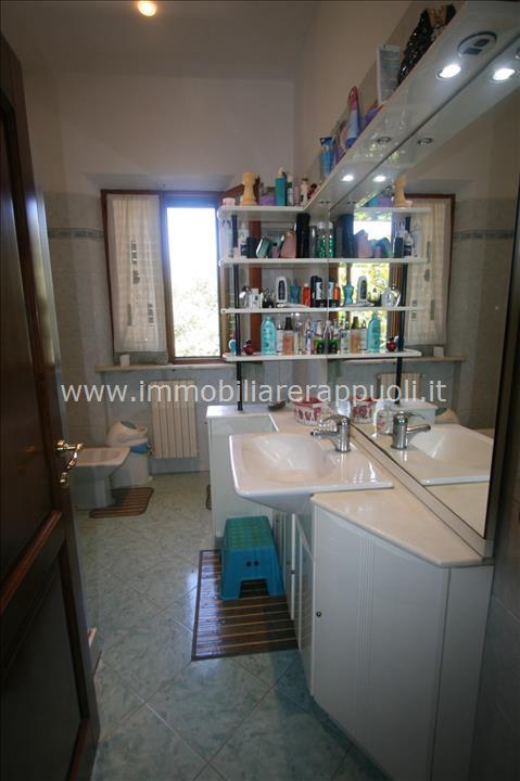 Immagine 14 di Appartamento in vendita  a Sinalunga