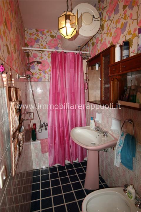 Immagine 9 di Casa indipendente in vendita  a Trequanda