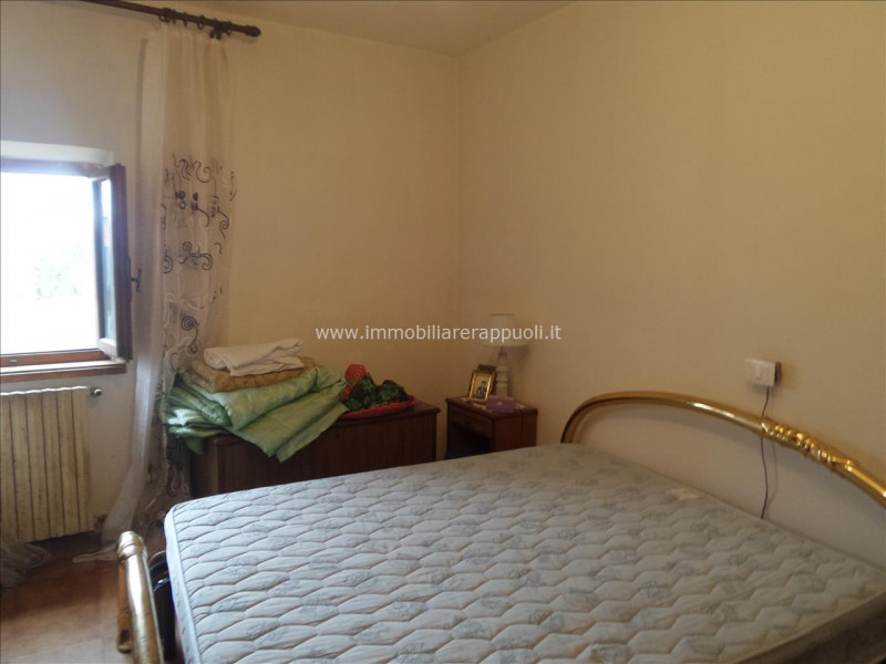 Immagine 4 di Casa indipendente in vendita  a Lucignano