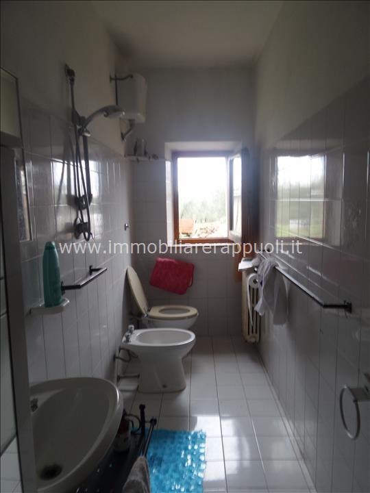 Immagine 7 di Casa indipendente in vendita  a Lucignano