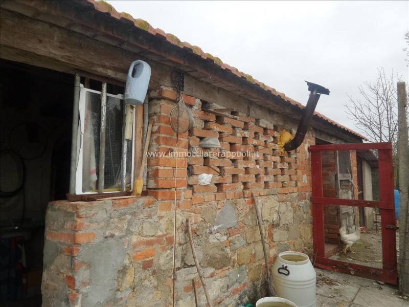 Immagine 9 di Casa indipendente in vendita  a Lucignano