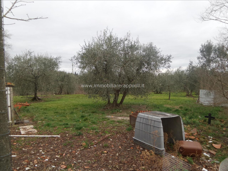 Immagine 10 di Casa indipendente in vendita  a Lucignano