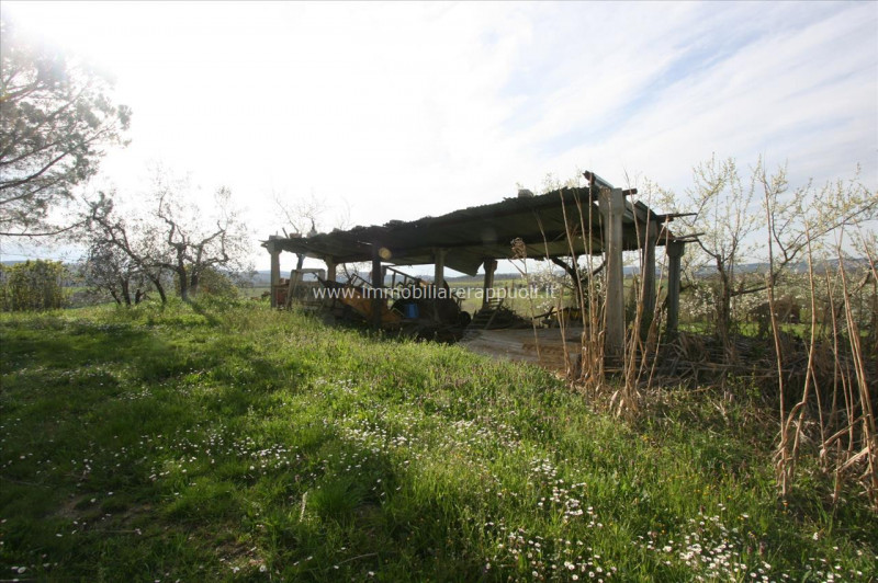 Immagine 3 di Rustico / casale in vendita  a Torrita Di Siena