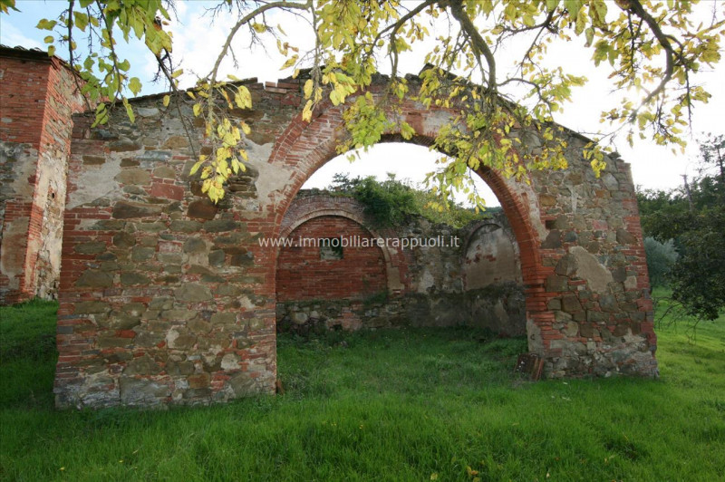 Immagine 2 di Rustico / casale in vendita  a Sinalunga