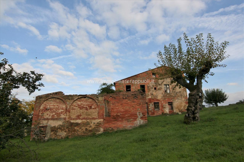 Immagine 3 di Rustico / casale in vendita  a Sinalunga