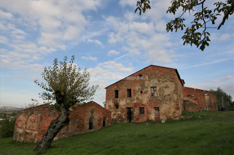 Immagine 4 di Rustico / casale in vendita  a Sinalunga