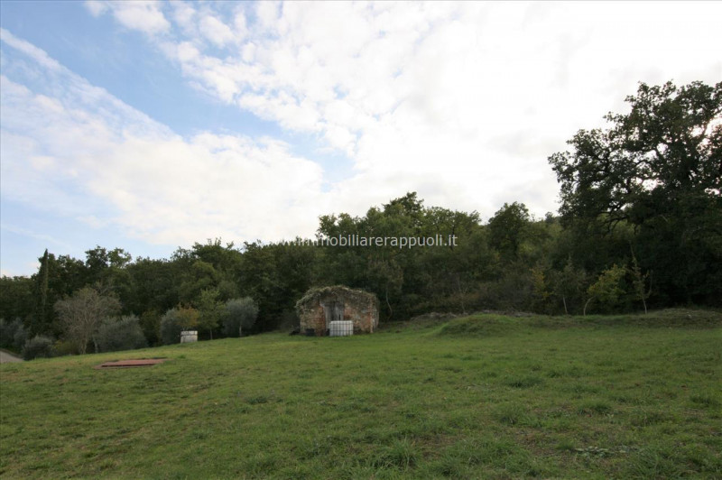 Immagine 5 di Rustico / casale in vendita  a Sinalunga