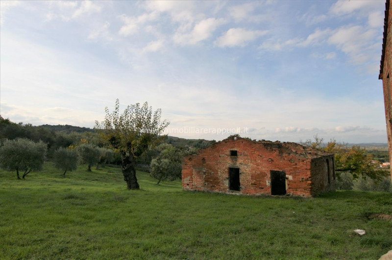 Immagine 6 di Rustico / casale in vendita  a Sinalunga