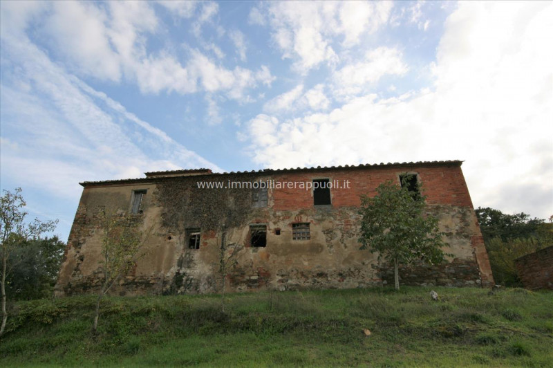 Immagine 12 di Rustico / casale in vendita  a Sinalunga