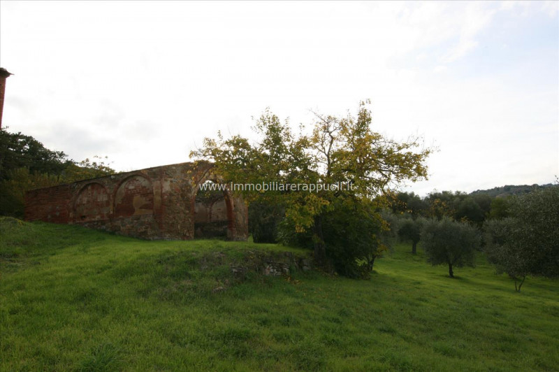 Immagine 13 di Rustico / casale in vendita  a Sinalunga