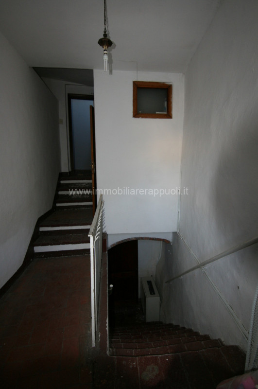 Immagine 5 di Casa indipendente in vendita  a Sinalunga