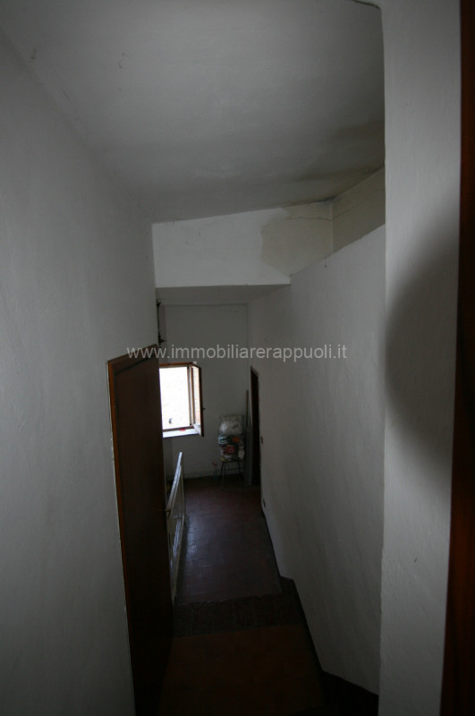 Immagine 15 di Casa indipendente in vendita  a Sinalunga