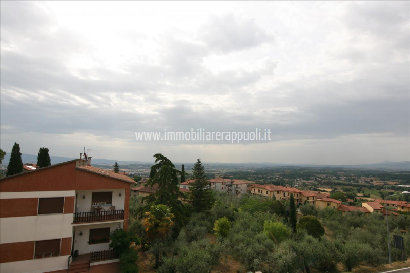 Immagine 10 di Casa indipendente in vendita  a Lucignano