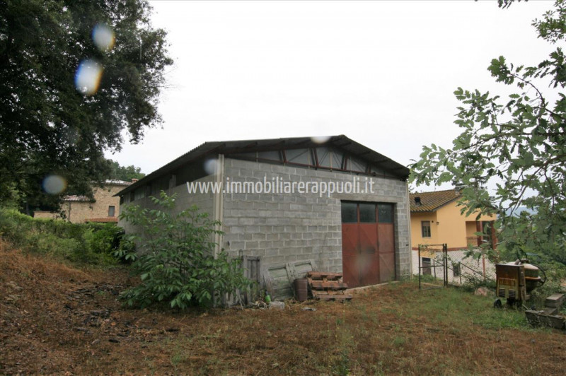 Immagine 20 di Casa indipendente in vendita  a Rapolano Terme