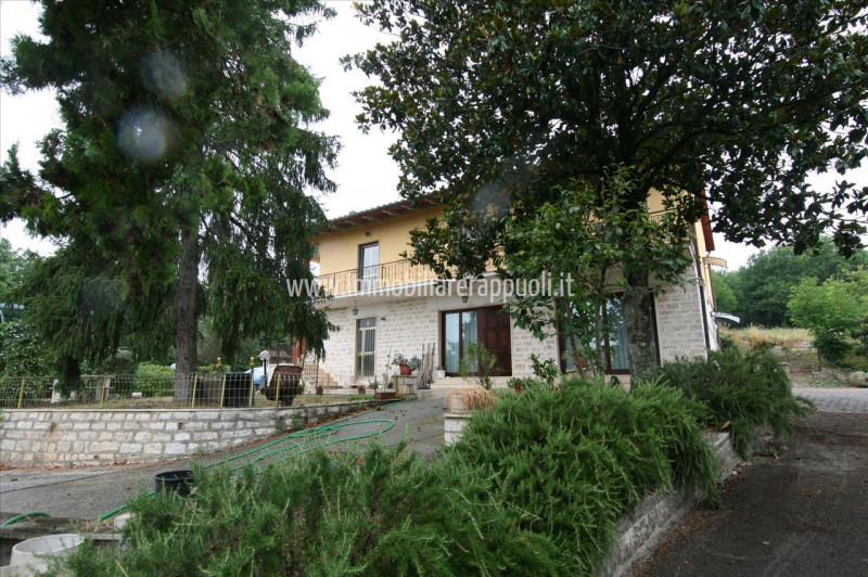 Immagine 22 di Casa indipendente in vendita  a Rapolano Terme