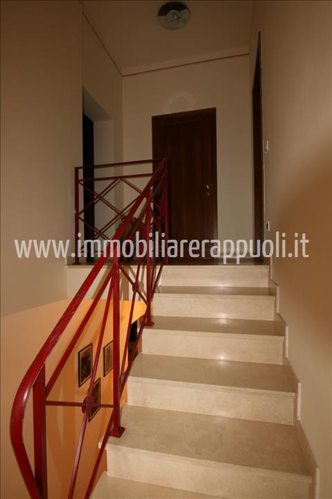 Immagine 31 di Casa indipendente in vendita  a Rapolano Terme