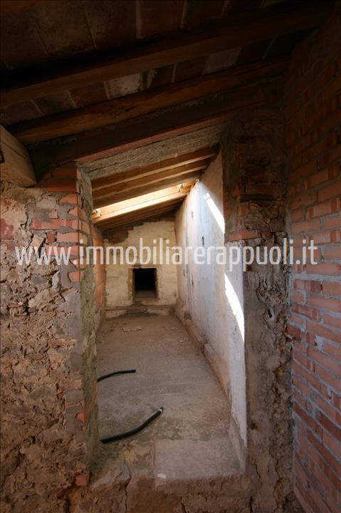 Immagine 12 di Villa in vendita  a Sinalunga