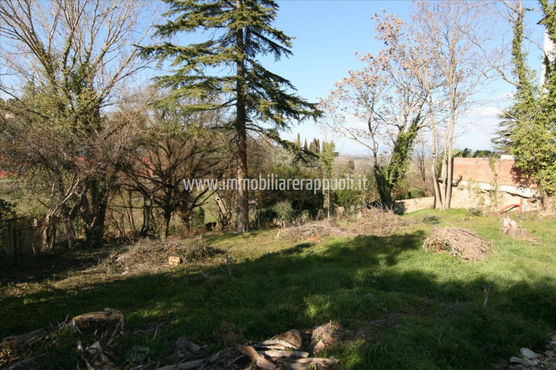 Immagine 38 di Villa in vendita  a Sinalunga