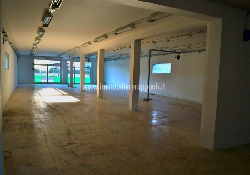 Immagine 1 di Attività commerciale in affitto  a Torrita Di Siena