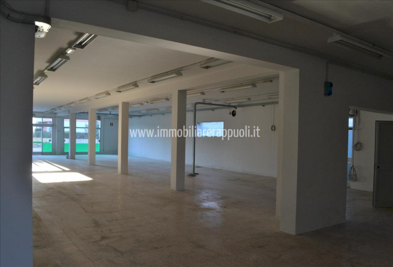 Immagine 2 di Attività commerciale in affitto  a Torrita Di Siena