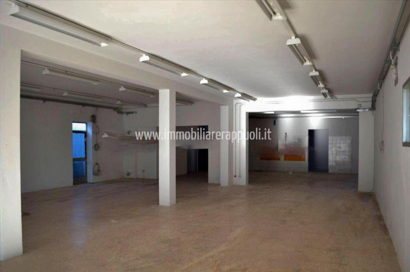 Immagine 4 di Attività commerciale in affitto  a Torrita Di Siena