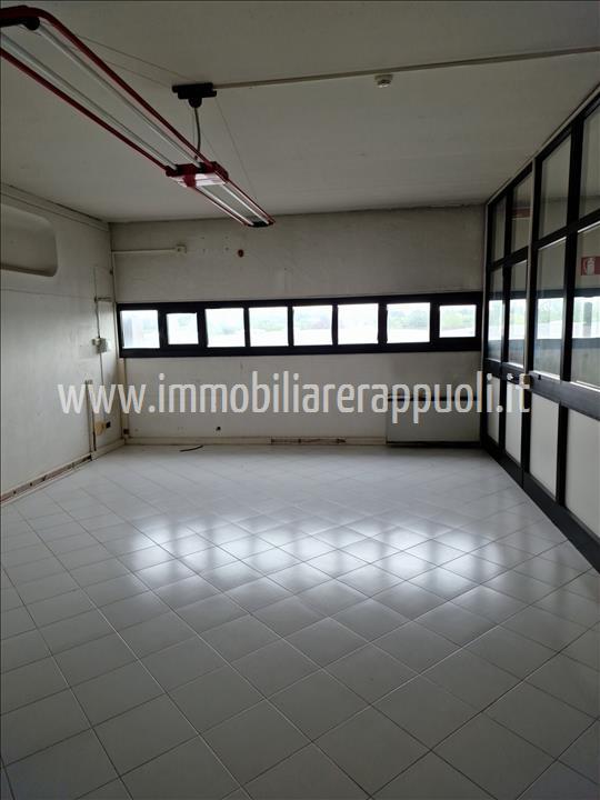 Immagine 1 di Capannone industriale in affitto  a Sinalunga