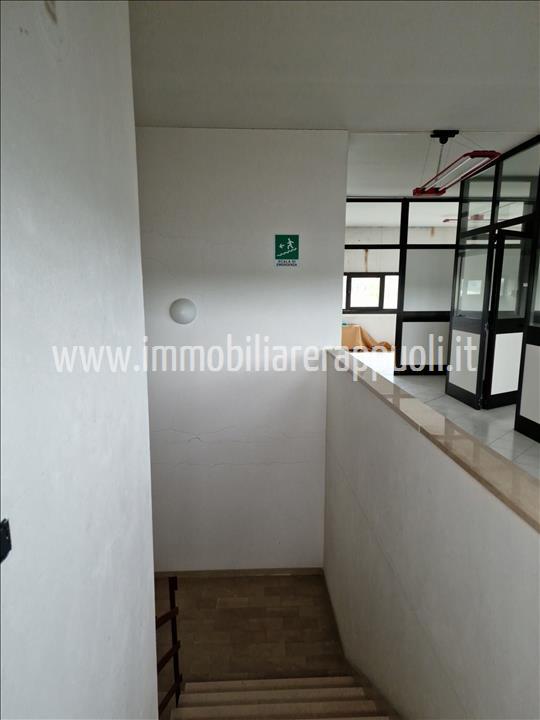 Immagine 2 di Capannone industriale in affitto  a Sinalunga