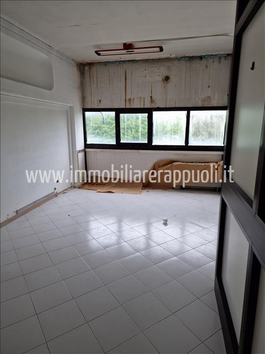 Immagine 3 di Capannone industriale in affitto  a Sinalunga