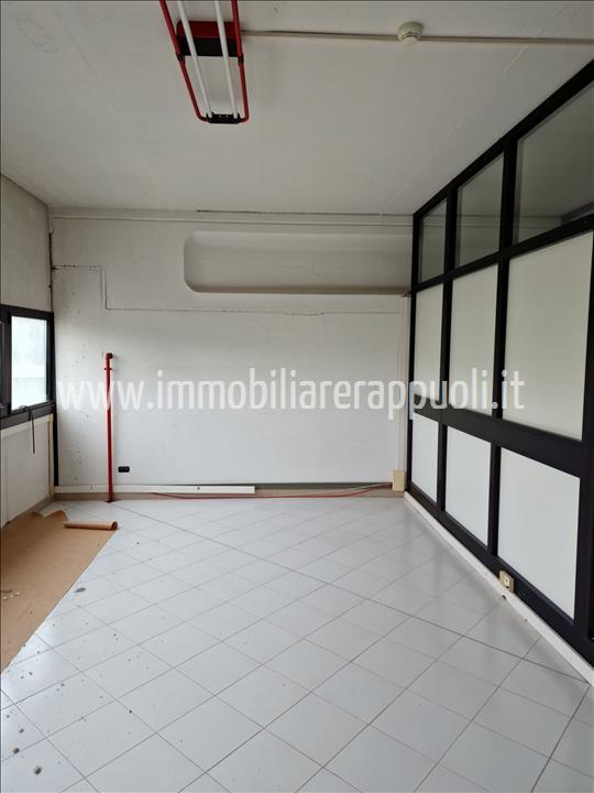 Immagine 4 di Capannone industriale in affitto  a Sinalunga