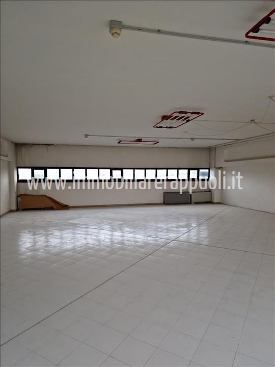 Immagine 6 di Capannone industriale in affitto  a Sinalunga