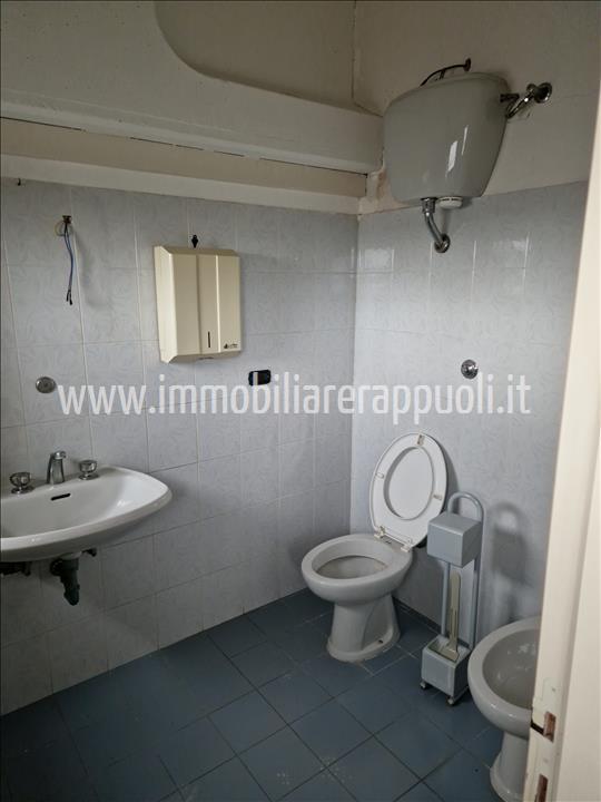 Immagine 7 di Capannone industriale in affitto  a Sinalunga