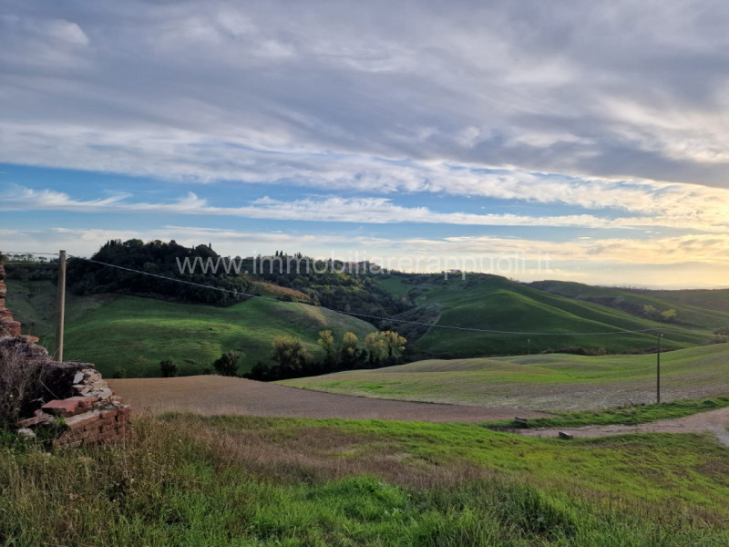 Immagine 2 di Rustico / casale in vendita  a Asciano