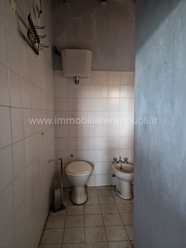 Immagine 3 di Rustico / casale in vendita  a Asciano