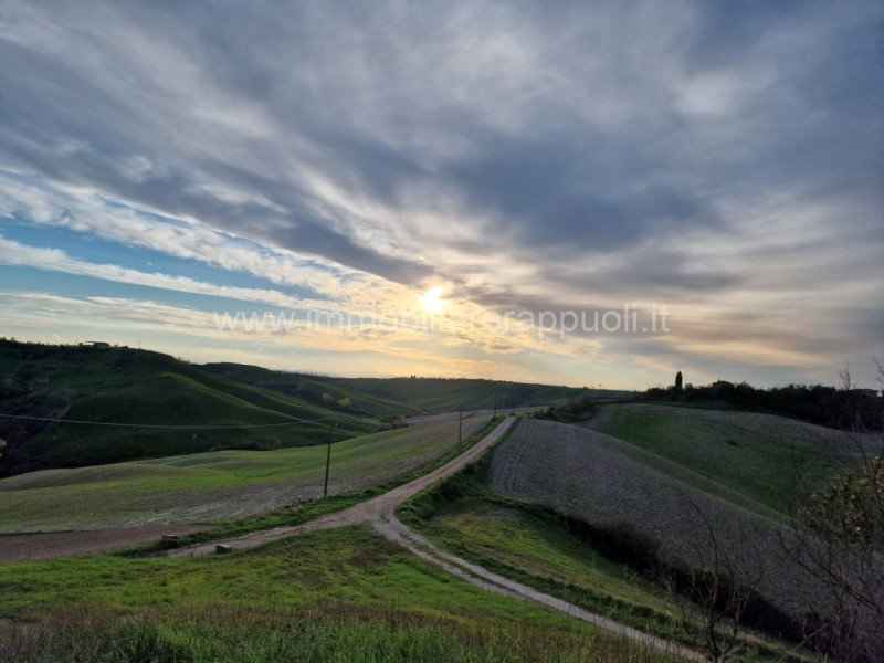 Immagine 4 di Rustico / casale in vendita  a Asciano