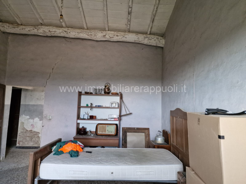 Immagine 7 di Rustico / casale in vendita  a Asciano