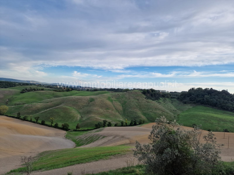Immagine 10 di Rustico / casale in vendita  a Asciano