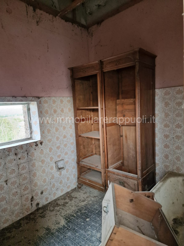 Immagine 13 di Rustico / casale in vendita  a Asciano