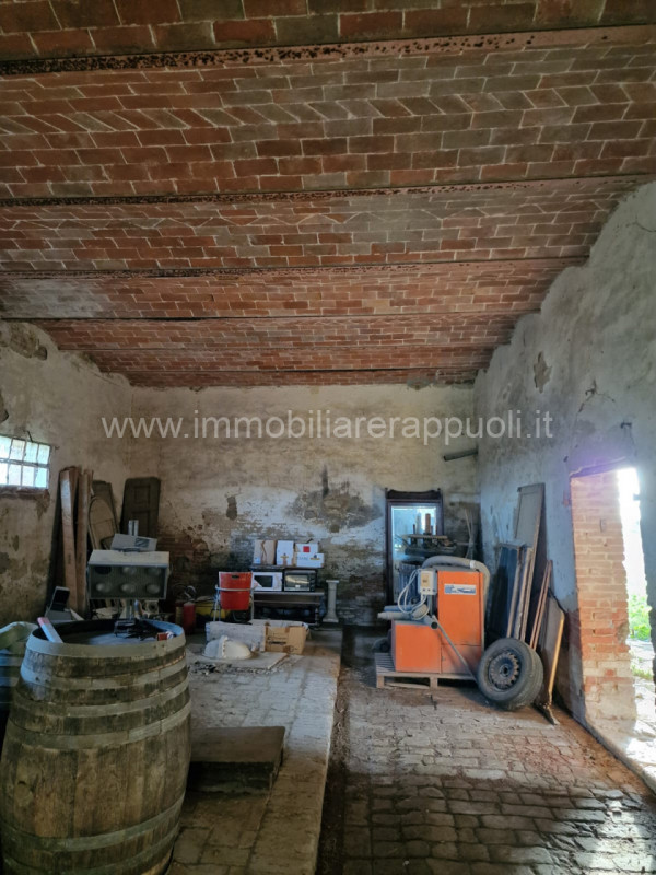 Immagine 14 di Rustico / casale in vendita  a Asciano
