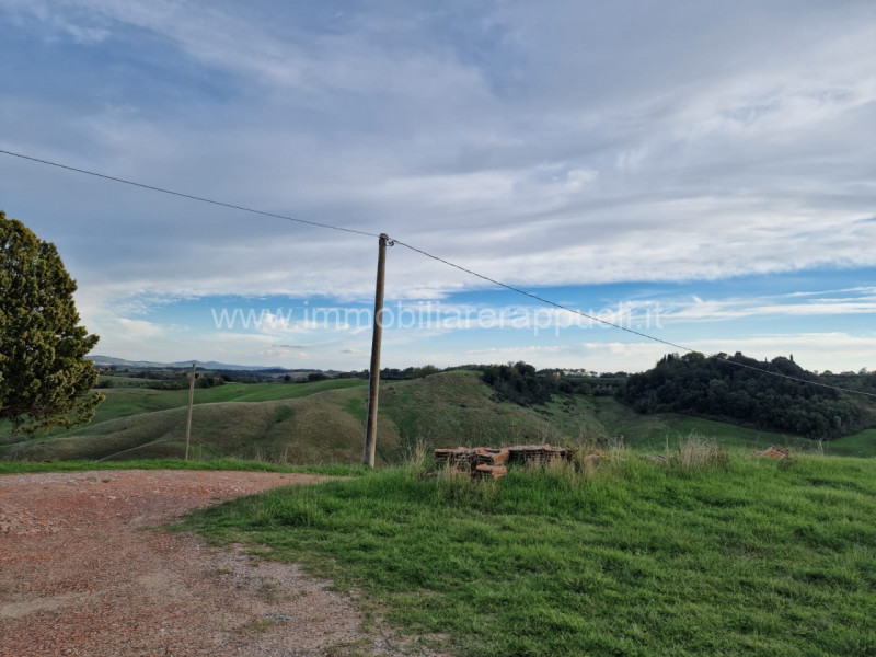 Immagine 15 di Rustico / casale in vendita  a Asciano